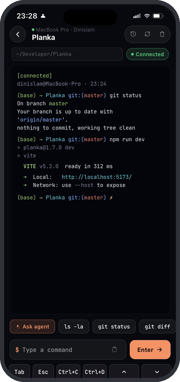 Terminal